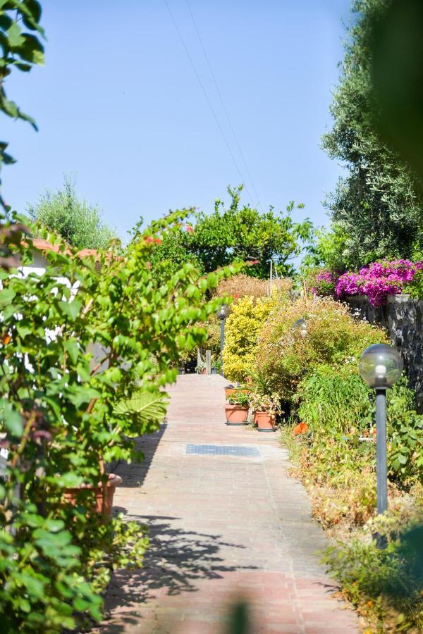 Villa Erade Casamicciola Terme Екстериор снимка