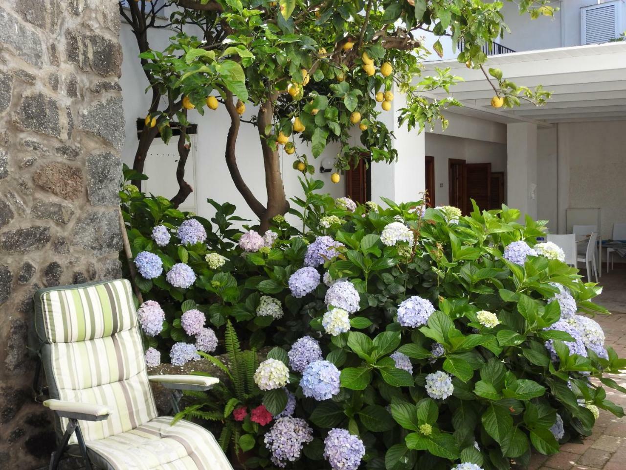 Villa Erade Casamicciola Terme Екстериор снимка