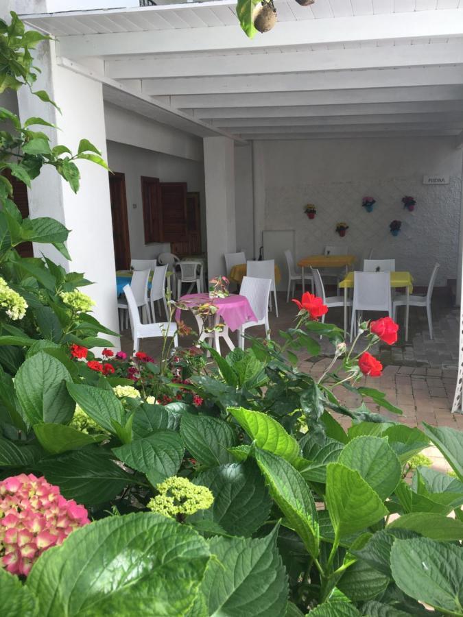 Villa Erade Casamicciola Terme Екстериор снимка
